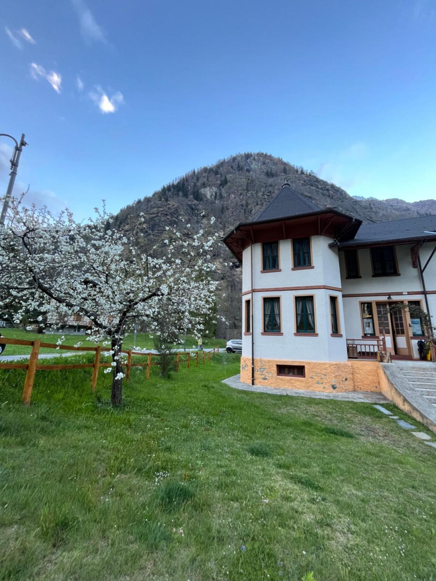 L'Aria Di Casa Bed & Breakfast อาลันญา วัลซีเซีย ภายนอก รูปภาพ