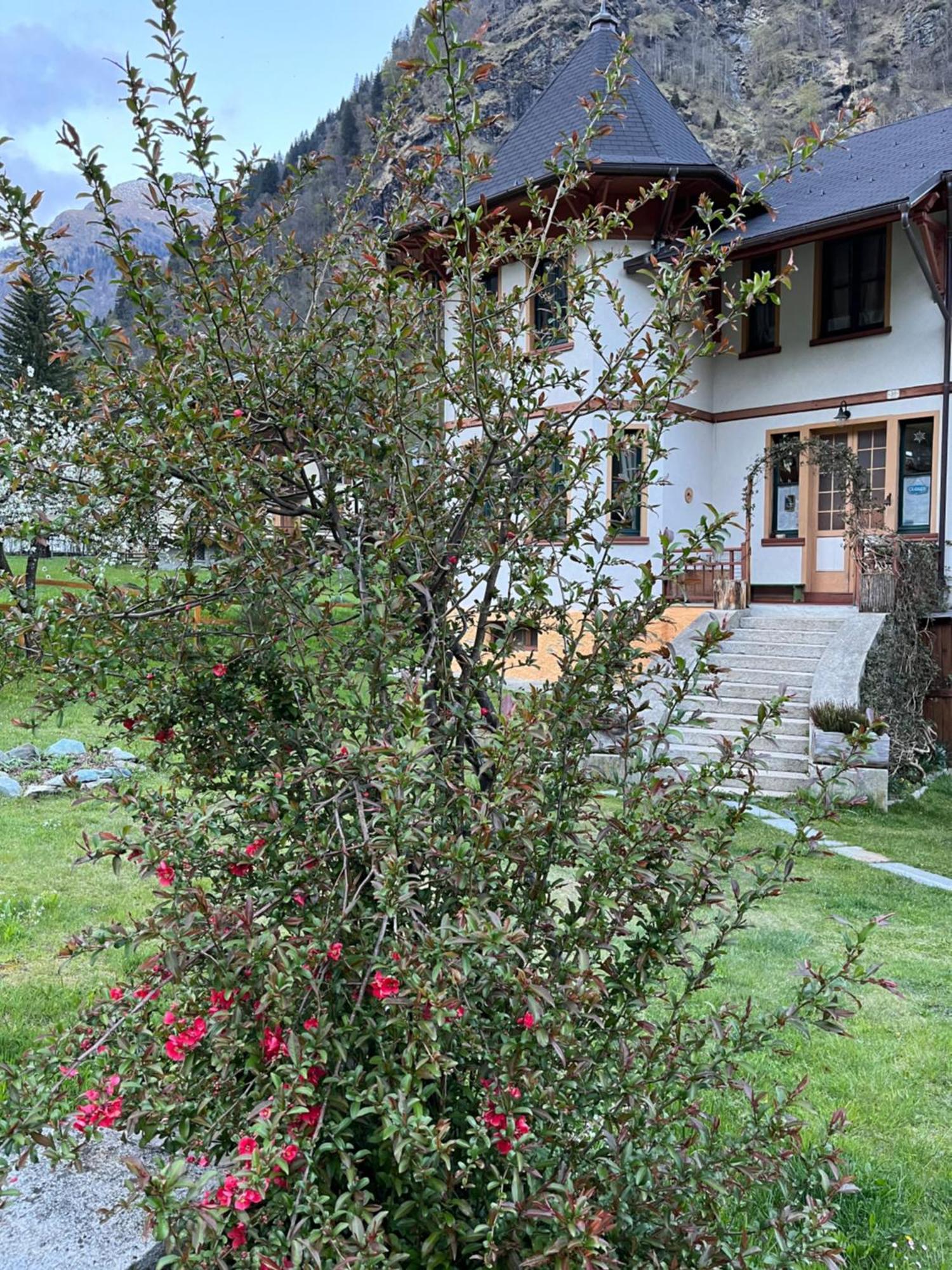 L'Aria Di Casa Bed & Breakfast อาลันญา วัลซีเซีย ภายนอก รูปภาพ