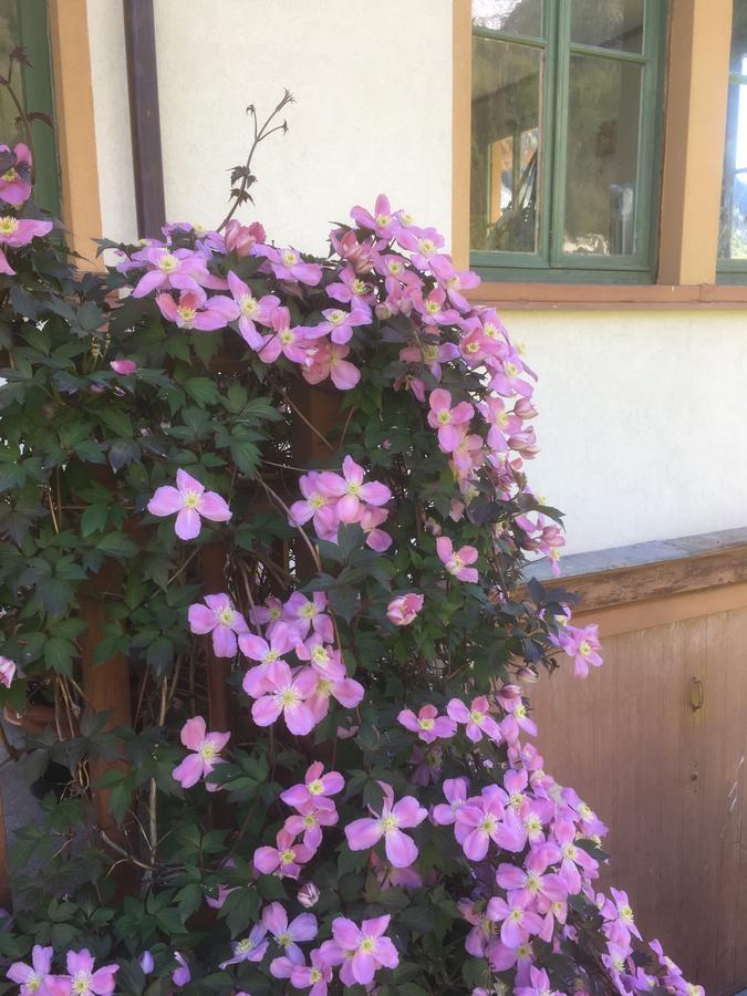 L'Aria Di Casa Bed & Breakfast อาลันญา วัลซีเซีย ภายนอก รูปภาพ